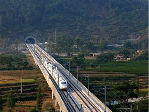 道路、橋梁、隧道與市政工程質量控制精華集萃——筑龍論壇專業分享