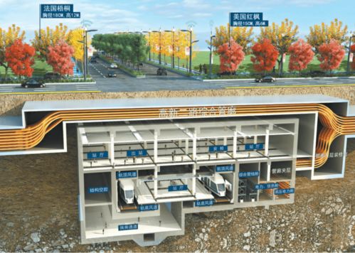 市政道路主干道順利竣工，城市發展再添新動力
